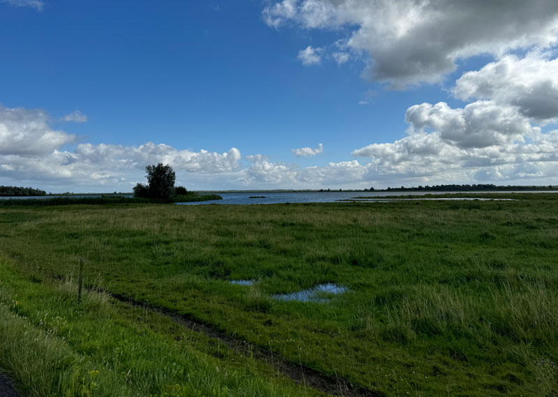 Lauwersmeer