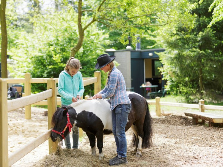 Vakantie Nederland met pony's