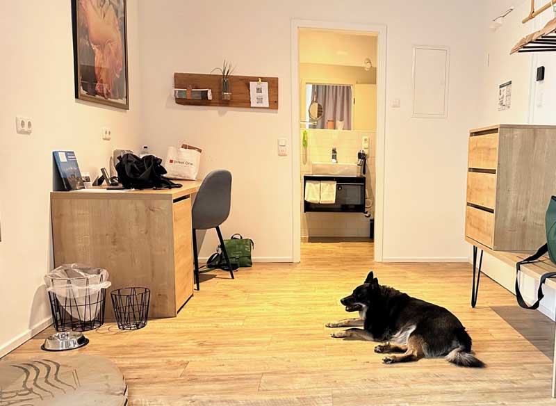 Hotel voor overnachting in Regensburg met hond