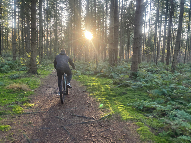 Fietsen op Winterwoods