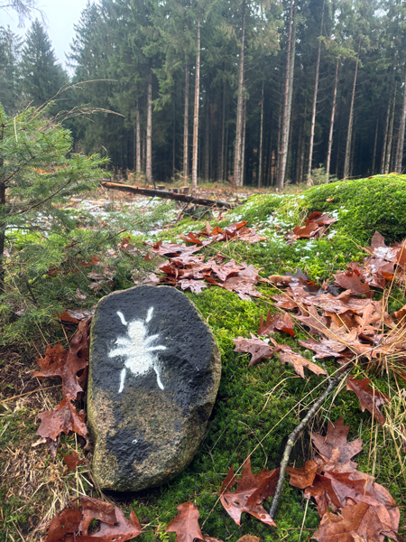 Wandeling in Winterwoods