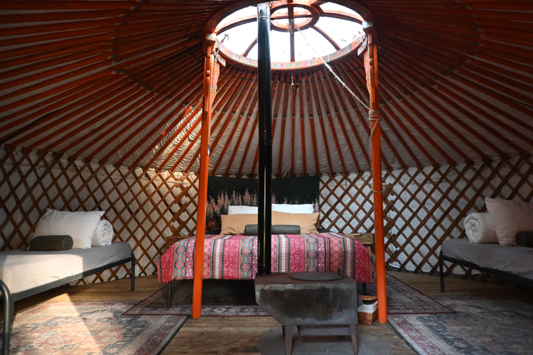 Yurt in Winterwoods