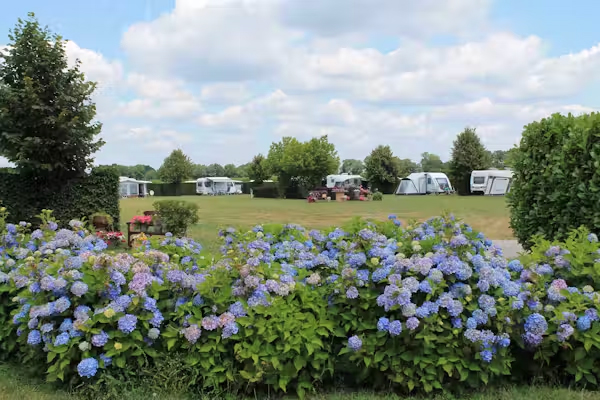 Camping De Wielewaal | kleine campings Nederland