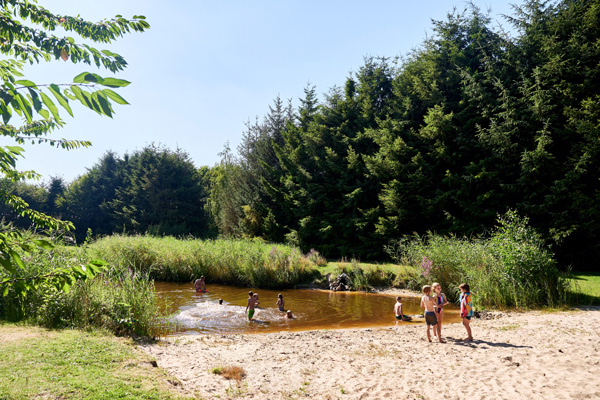 Camping en Lunchcafé Noorderloo