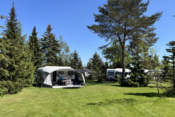 Landschapscamping Sparrenhof | kleine campings Nederland