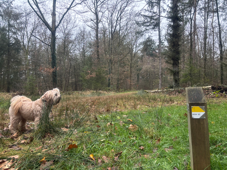 Wandelen met kleine kinderen bourtange