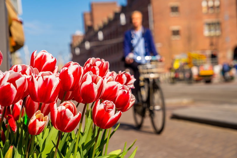 Weekendje weg naar Arnhem