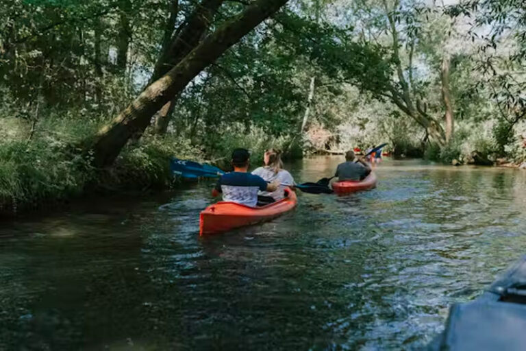 Wildwood Camping in de Lüneburger Heide