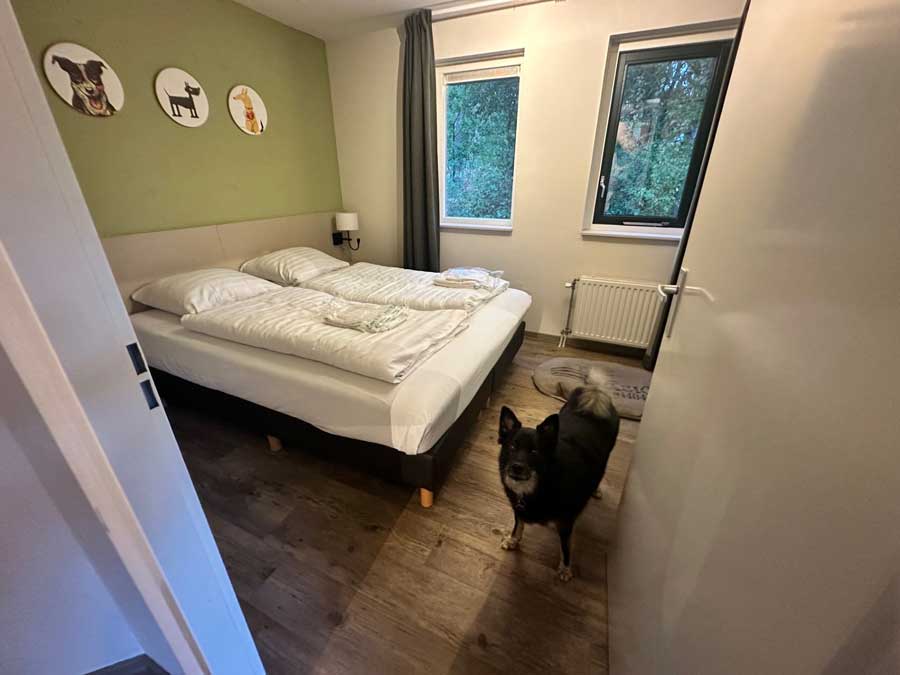 Afgesloten tuin bij de hondenbungalow