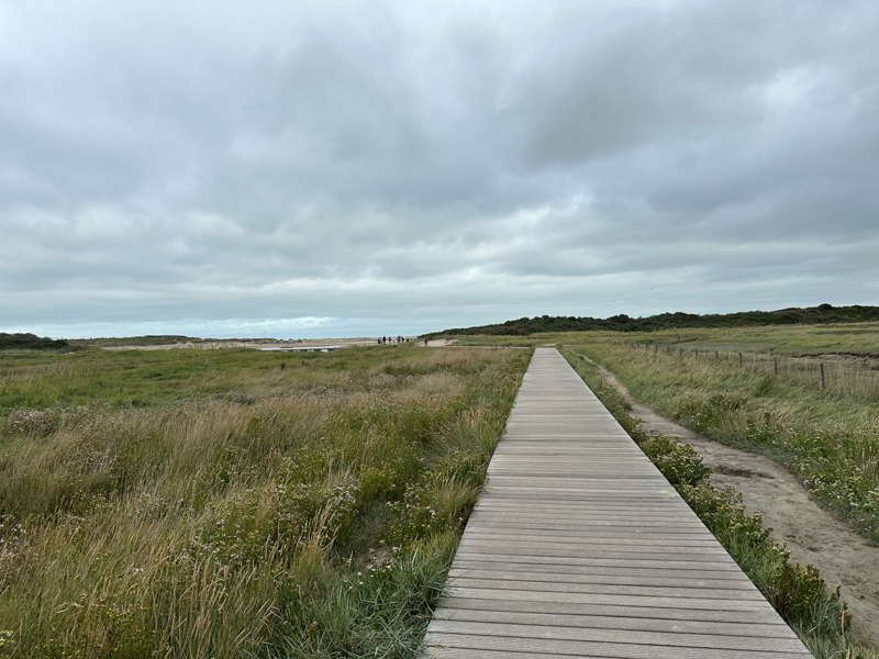 Duinen bij Landal Beach Resort Nieuwvliet-Bad