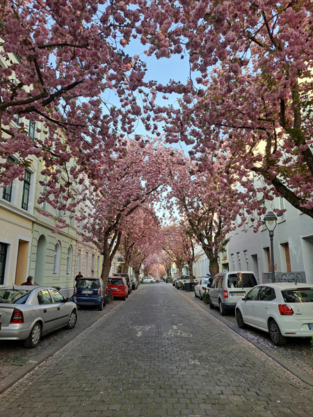 Bonn