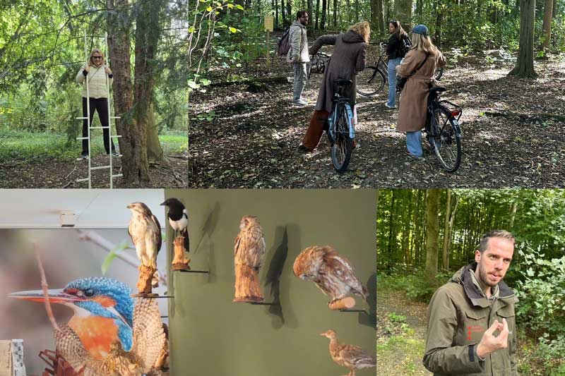 Amsterdamse Bos Amstelveen