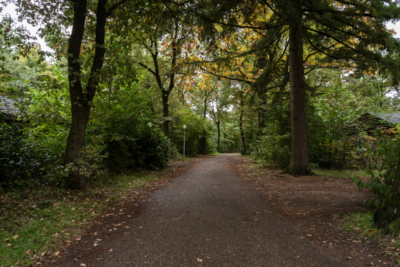 Feestdagen bij Summio Parcs