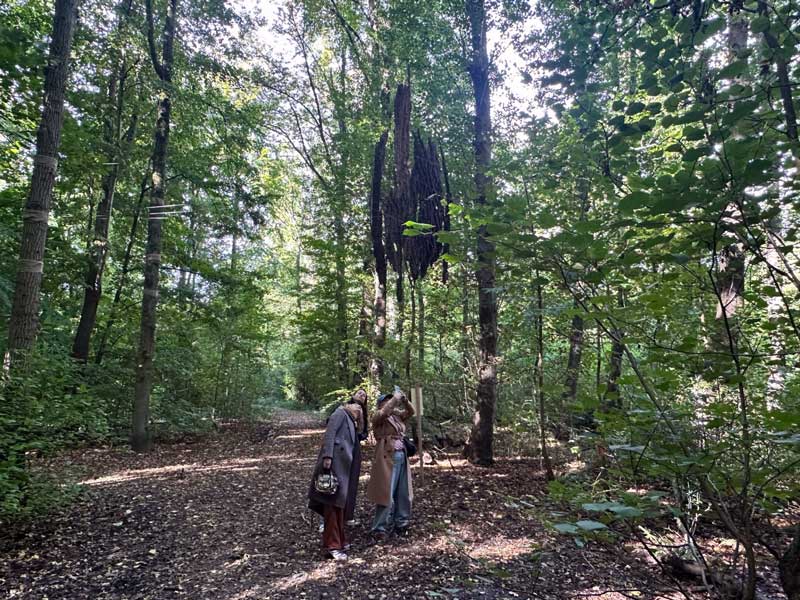 Tentoonstellingen Amsterdamse Bos