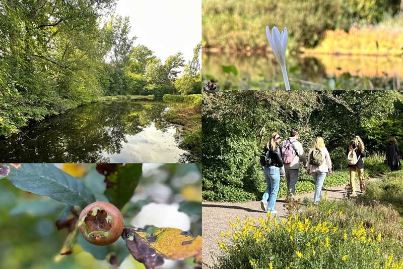 Parken in Amstelveen, veel verschillende soorten planten