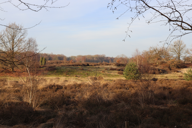 Landal Amerongse Berg in de natuur