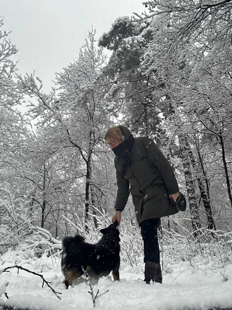 Met sneeuw lastminute naar een vakantiepark op de Veluwe