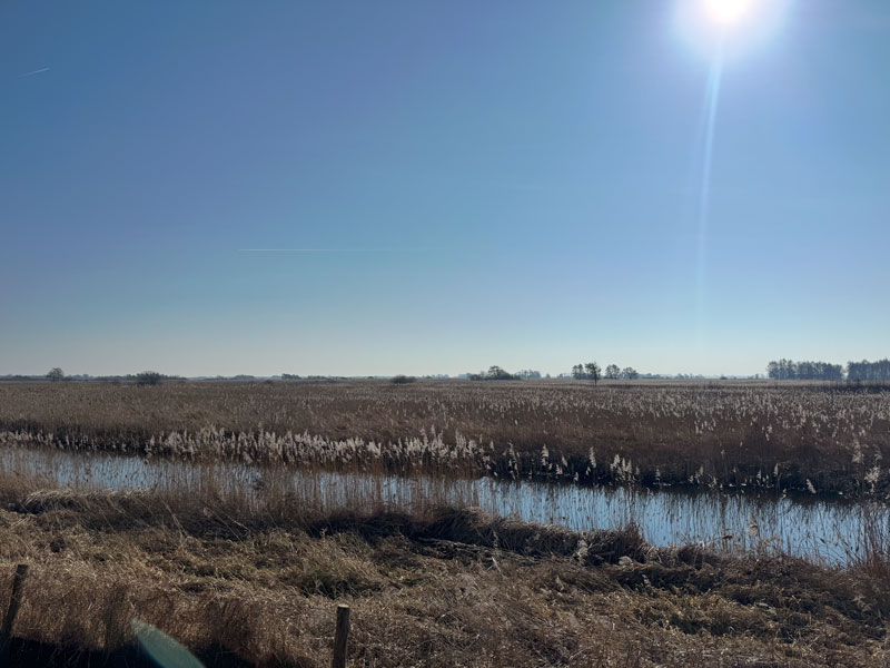 Landal Waterparc Blokzijl review in de natuur