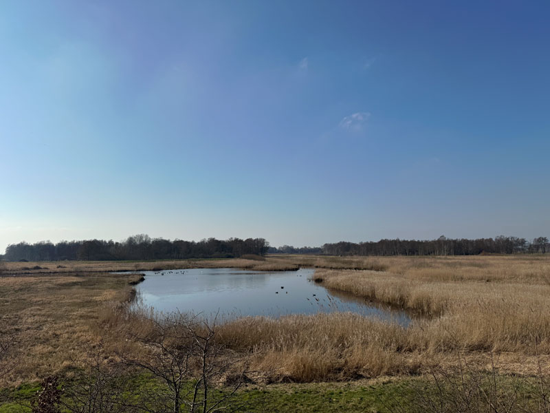 Landal Waterparc Blokzijl review nationaal park